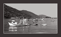 photo "Fishing boats"
