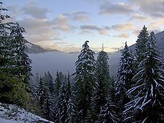 фото "Winter Fresh"