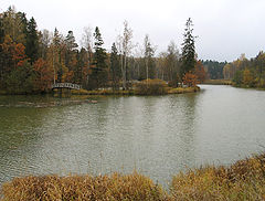 photo "Picture 1"