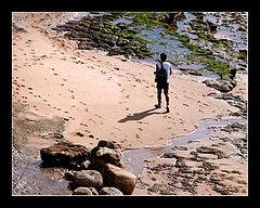 фото "Walking"