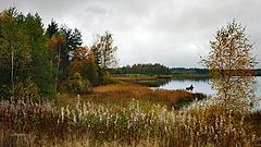 photo "Untitled photo"