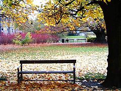 фото "Autum in the garden."