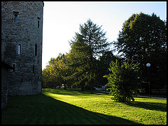 photo "behind the town wall"