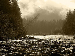 фото "November Rain"