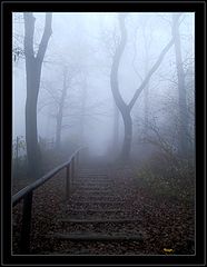 фото "Downstairs"