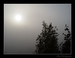 фото "Утро туманное"