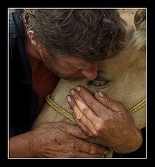 photo "Perfect clean love..."