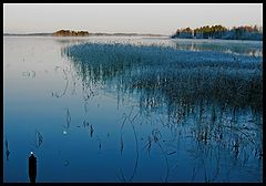 фото "Blue morning"