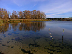 photo "transparent autumn"