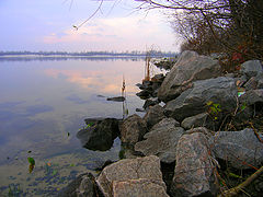 photo "stones"