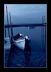 photo "painting with blue"