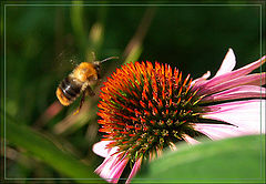photo "On landing"