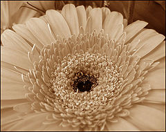 photo "for my loving#2"