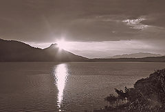 photo "presa del bosque"
