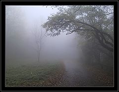 фото "Once Upon A Time In A Fog"