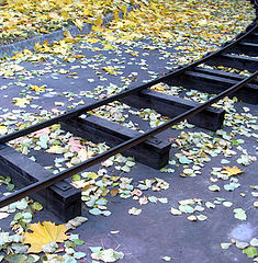 photo "the way"