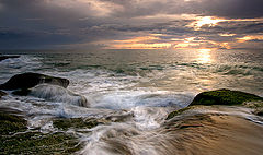 photo "Back to Laguna Beach"