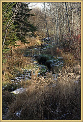 photo "Gold of the fall, Russian landscape"