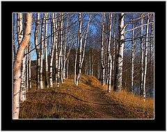 photo "Karelia."