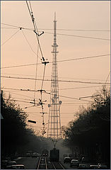 photo "Communication"