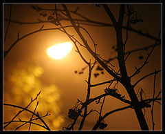 photo "***"