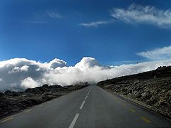 фото "Twards the sky..."