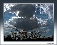 photo "****"