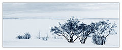 photo "Winter landscape"