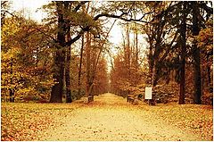 фото "Autumn..."
