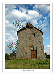 фото "the windows"