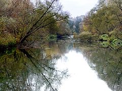 фото "осень 2"