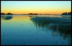 фото "Blue morning"