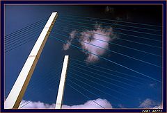фото "bleu cables"