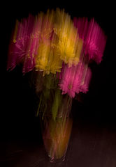 photo "Impressionistic Vase I"
