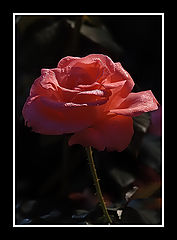 фото "R & B"
