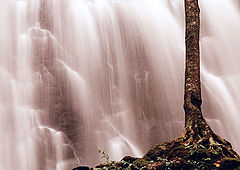 photo "Crabtree Falls, NC"