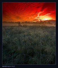 photo "sunrise 1"
