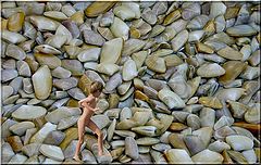 photo "How many?"