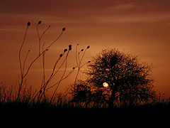 фото ". . . j u s t . . ."