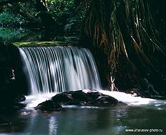 фото "Thailand 01"
