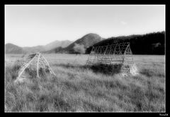 photo "*****"
