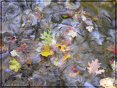 photo "Watercolors"