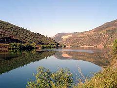 photo "Douro`s River"