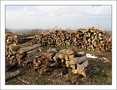 фото "Дровишки"
