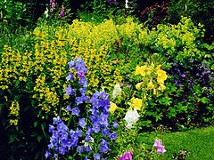 фото "English Country Garden"