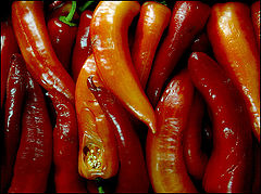 фото "red mood"