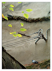 photo "Connection"