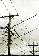 фото "connected"