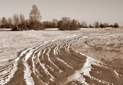 photo "The first snow"