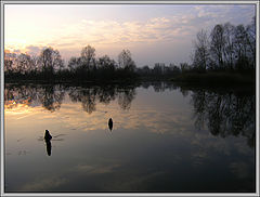 photo "sunset"